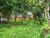 Terreno, 996 m² - Foto 6
