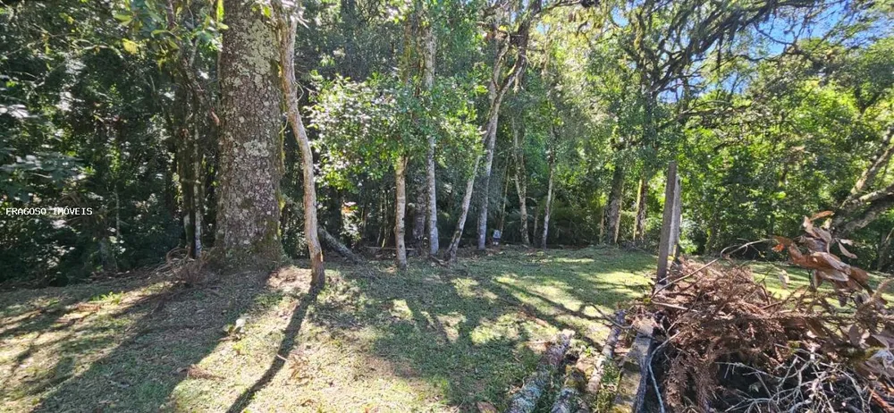 Chácara, 5650 m² - Foto 12