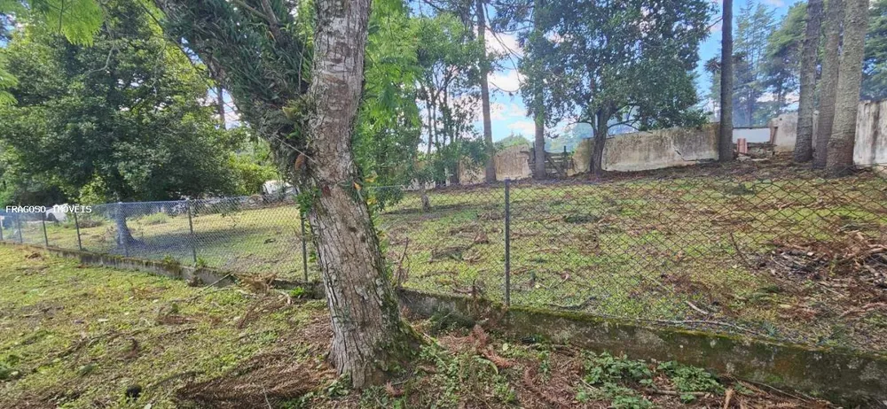 Chácara, 5650 m² - Foto 5