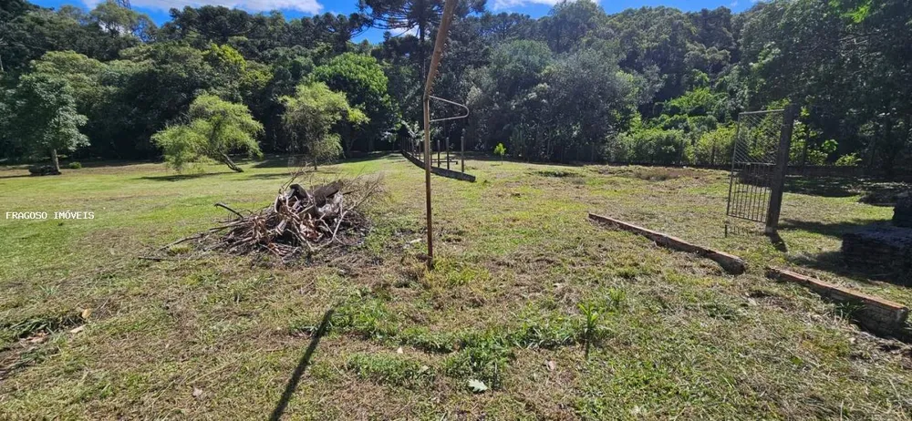 Chácara, 5650 m² - Foto 11
