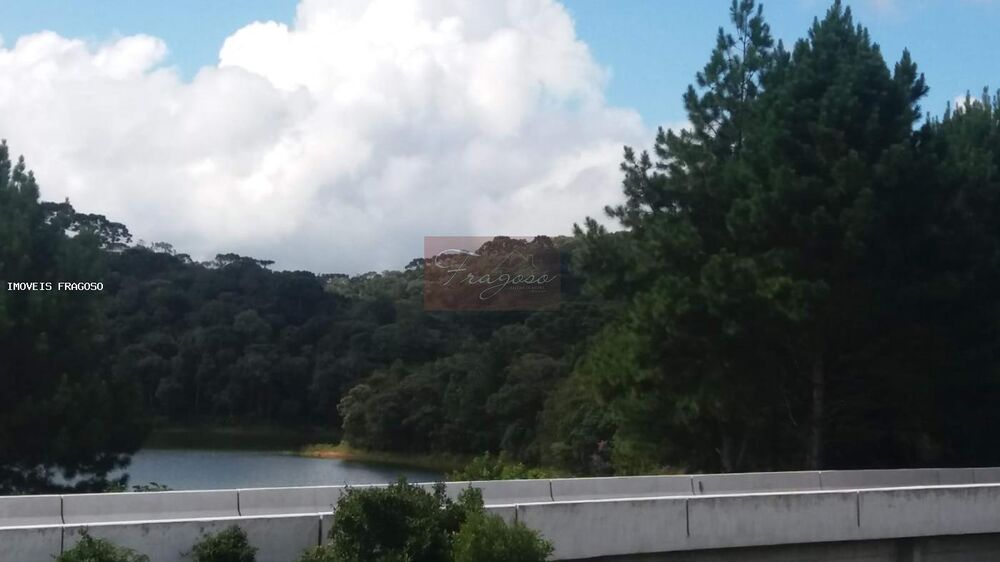 Terreno, 2 hectares - Foto 7