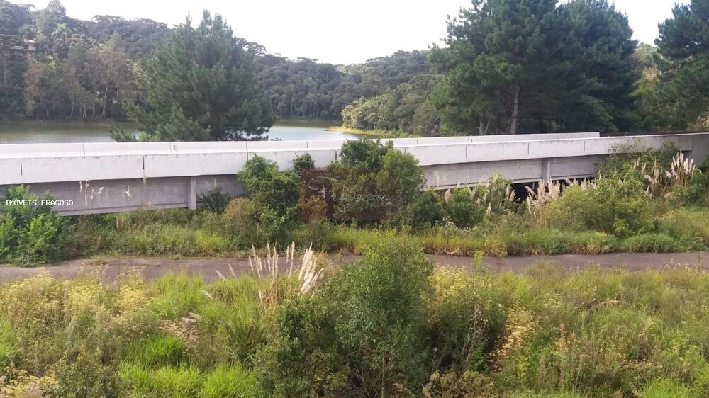 Terreno, 2 hectares - Foto 8