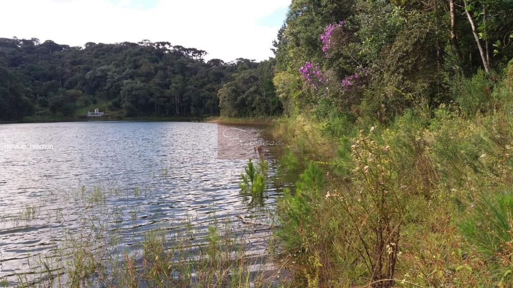 Terreno, 2 hectares - Foto 12