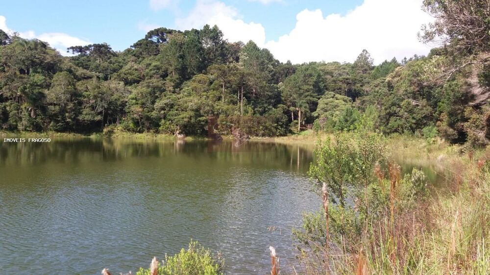 Terreno, 2 hectares - Foto 15