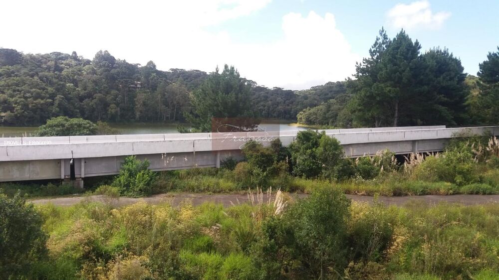 Terreno, 2 hectares - Foto 5