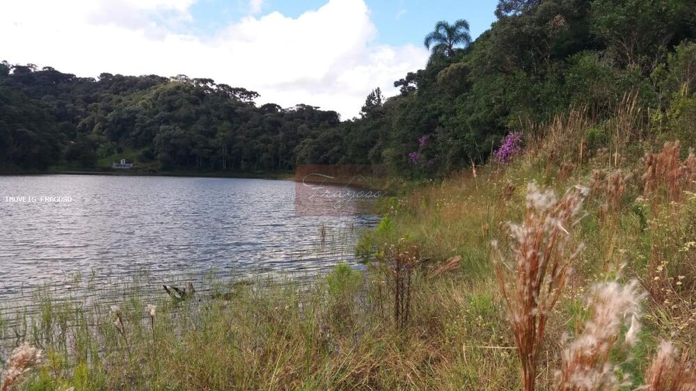 Terreno, 2 hectares - Foto 9