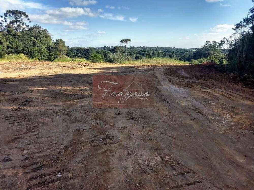 Terreno, 4 hectares - Foto 16