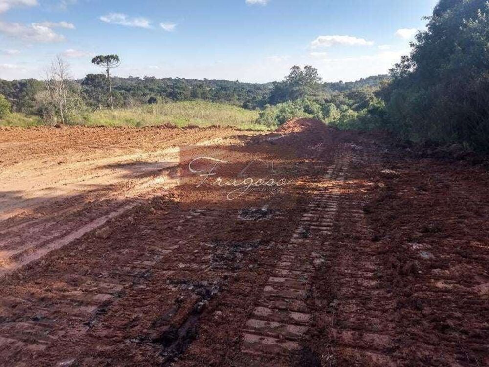 Terreno, 4 hectares - Foto 3