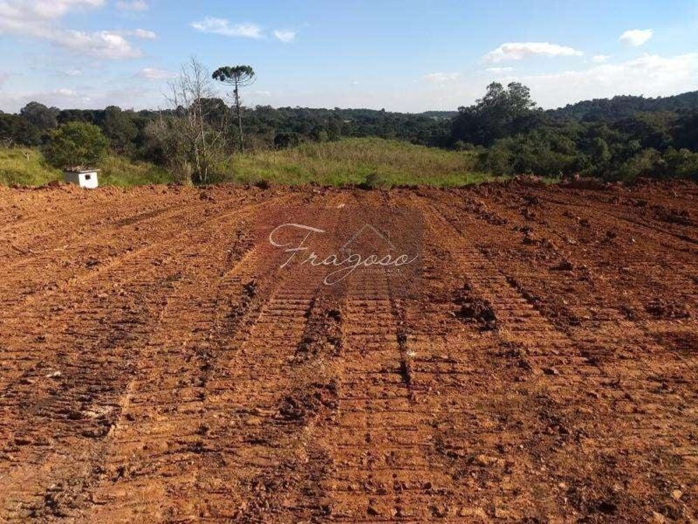 Terreno, 4 hectares - Foto 4