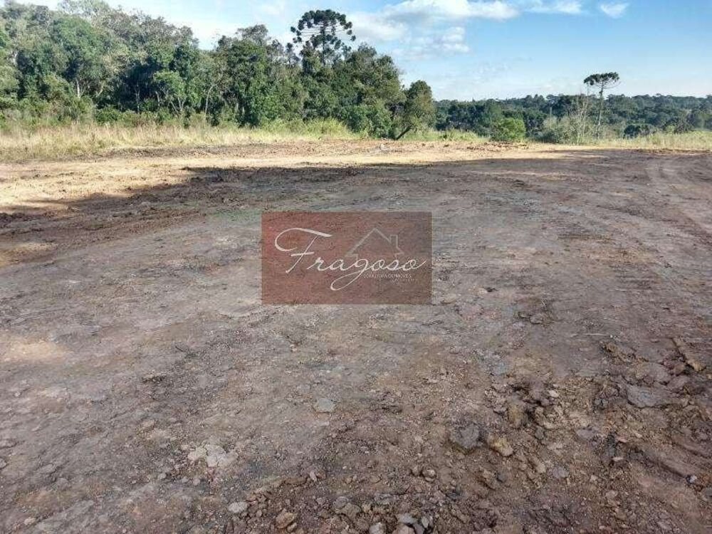 Terreno, 4 hectares - Foto 13