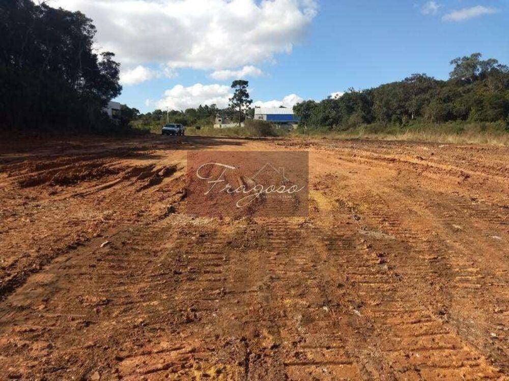 Terreno, 4 hectares - Foto 6