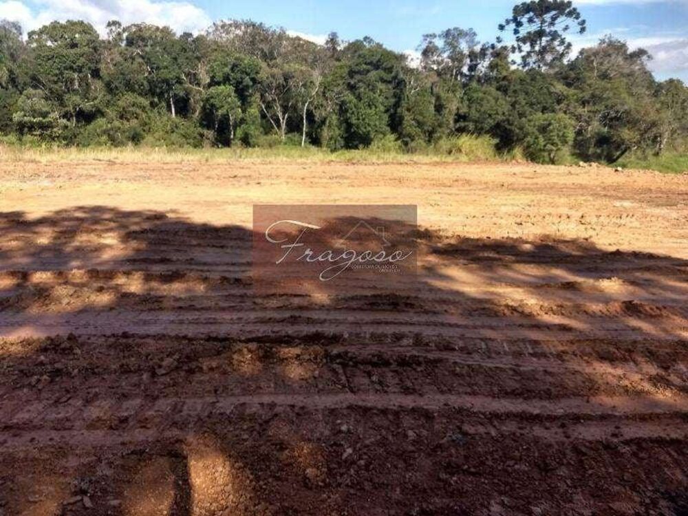 Terreno, 4 hectares - Foto 19