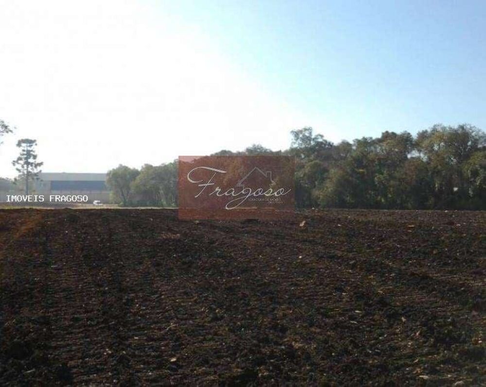 Terreno, 4 hectares - Foto 20