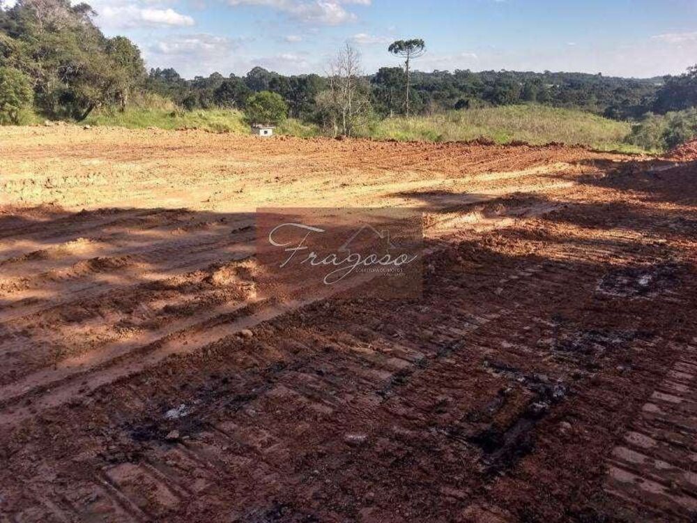Terreno, 4 hectares - Foto 2