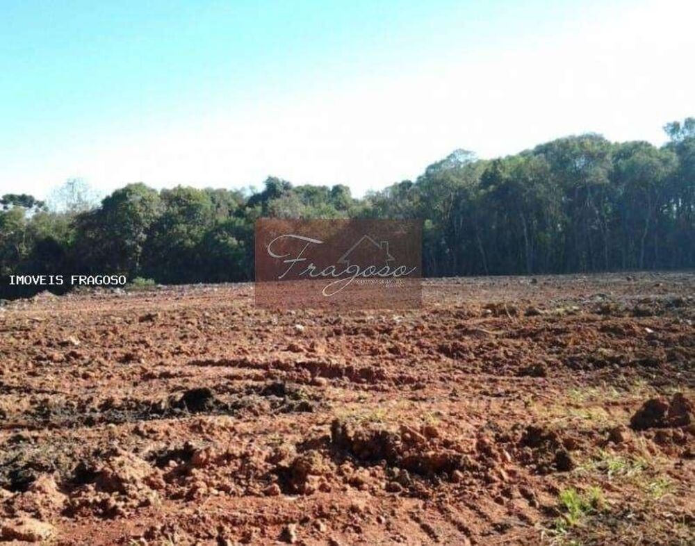 Terreno, 4 hectares - Foto 18
