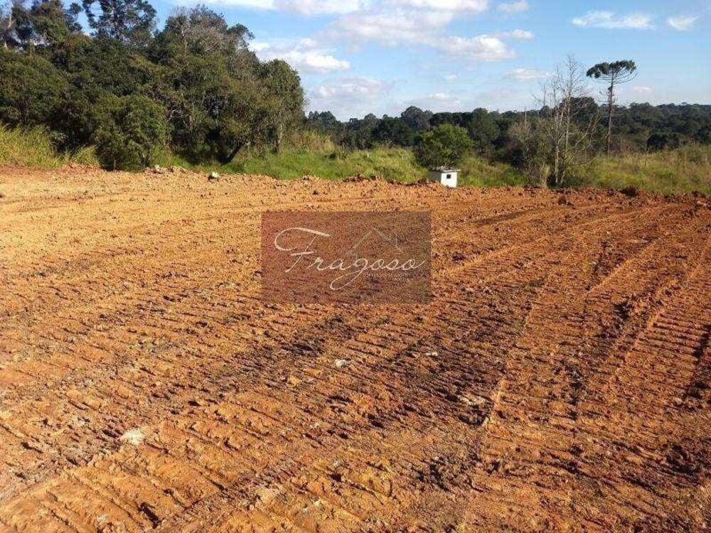Terreno, 4 hectares - Foto 5