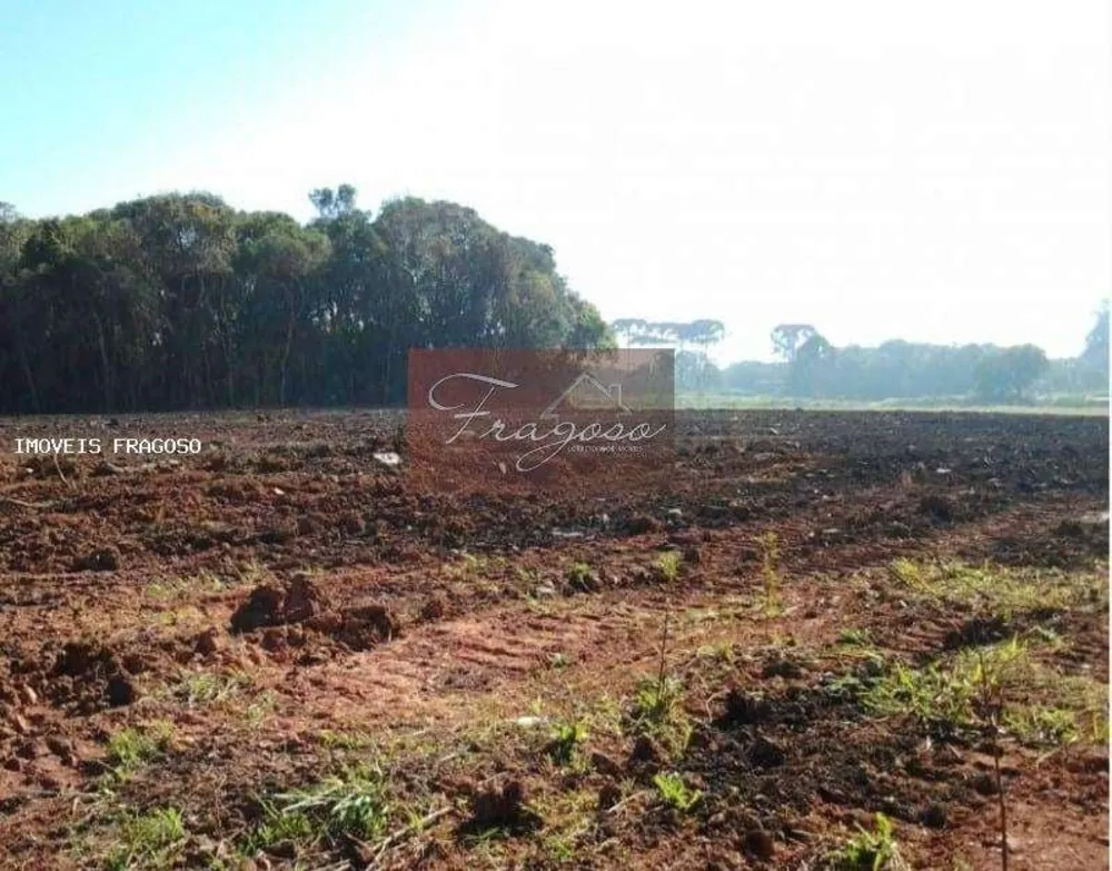 Terreno, 4 hectares - Foto 21