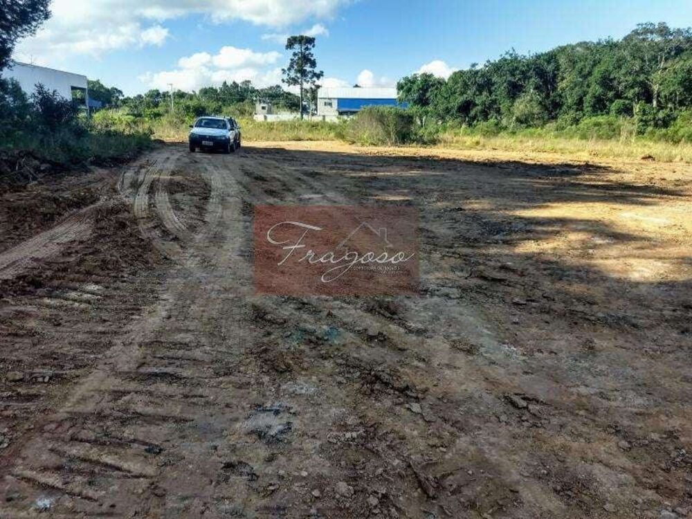 Terreno, 4 hectares - Foto 17