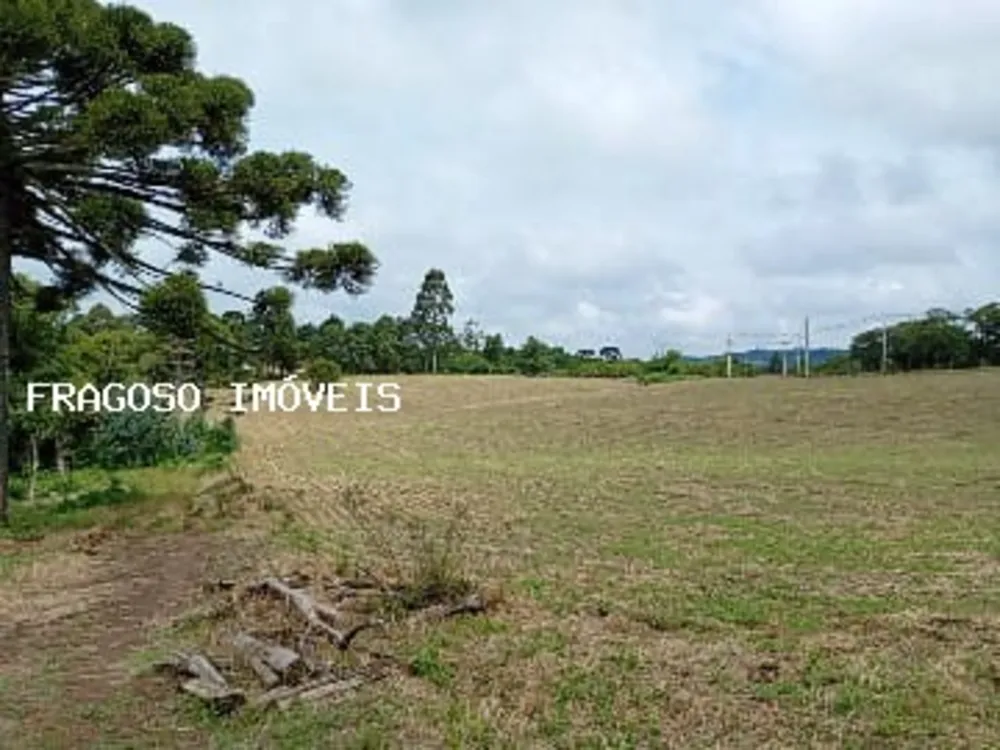 Chácara, 2 hectares - Foto 2
