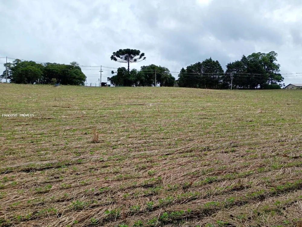 Chácara, 2 hectares - Foto 4