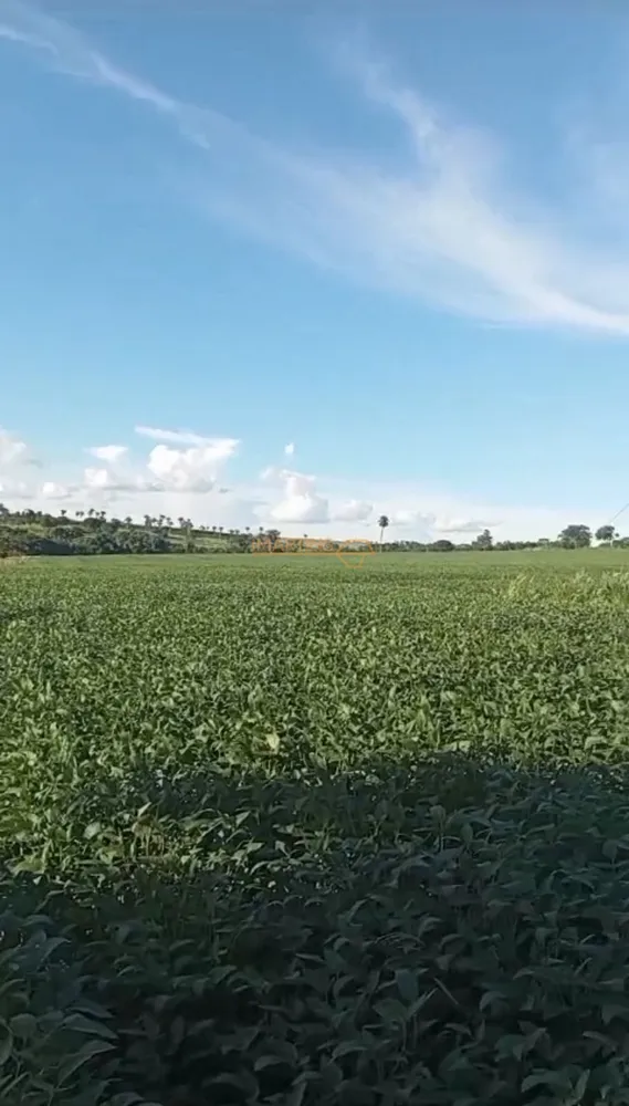 Fazenda, 5555 m² - Foto 1