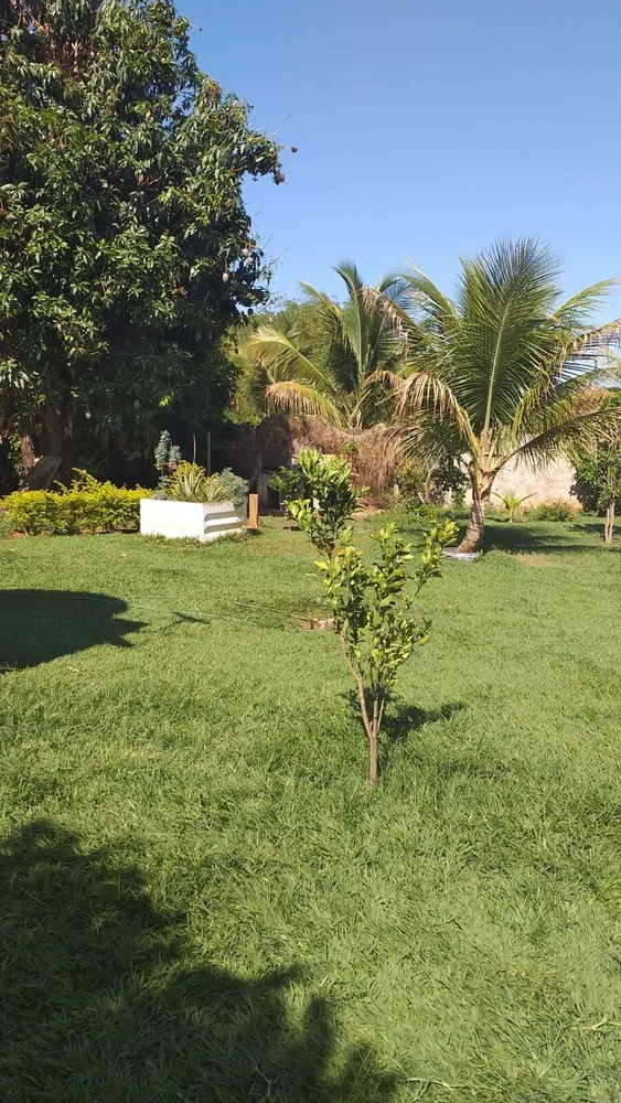Fazenda, 5000 m² - Foto 1