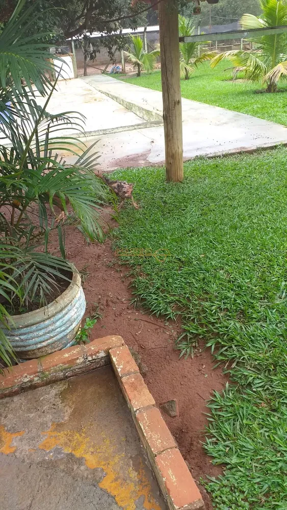 Fazenda, 5000 m² - Foto 2