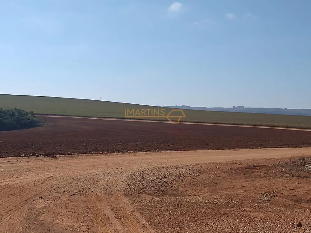 Fazenda, 6 hectares - Foto 4