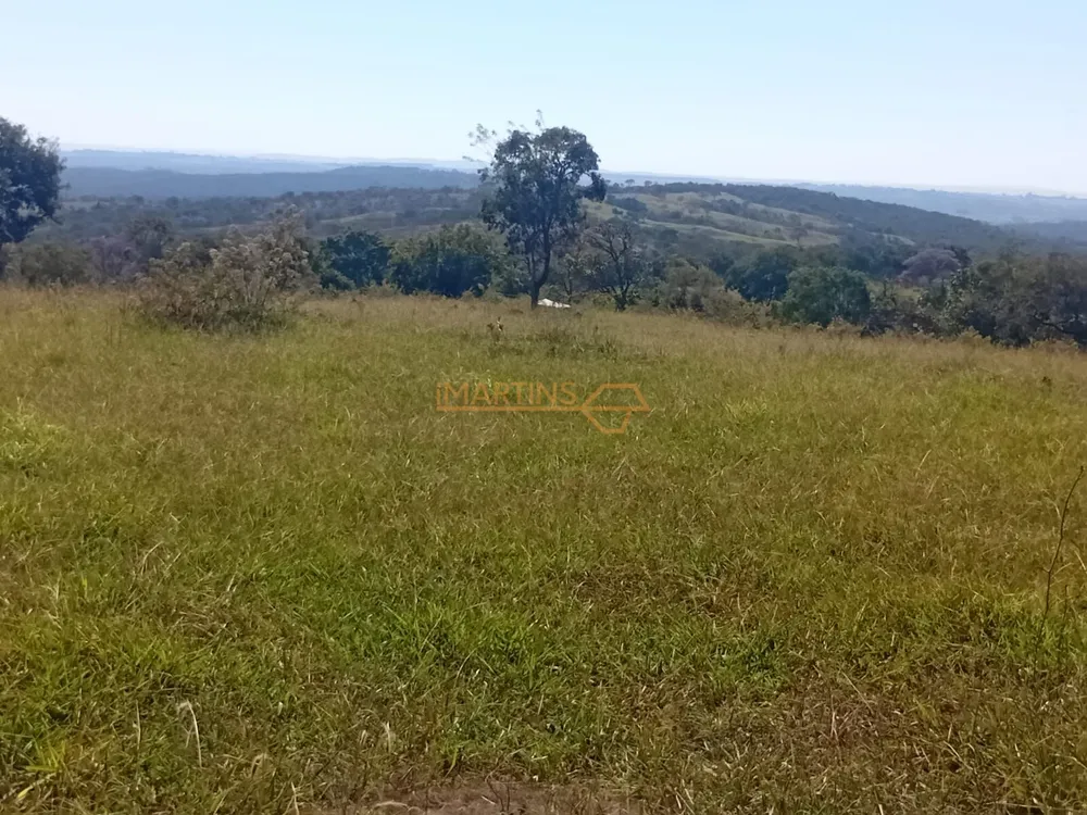Chácara, 19 hectares - Foto 4