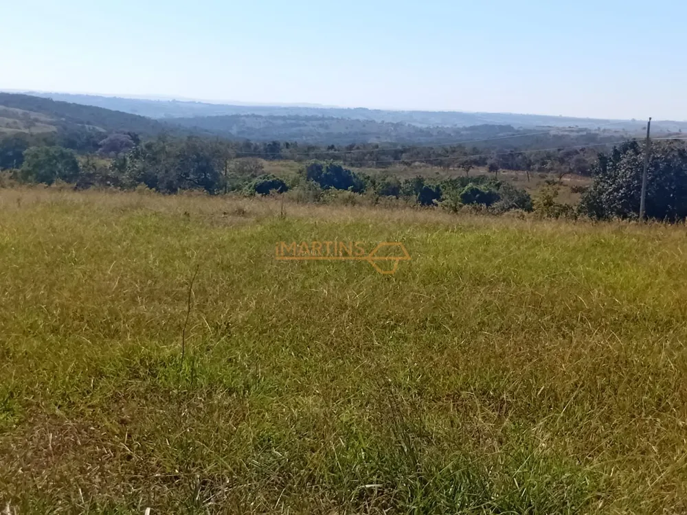 Chácara, 19 hectares - Foto 3