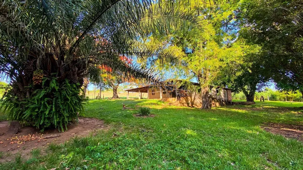 Fazenda, 5555 m² - Foto 3