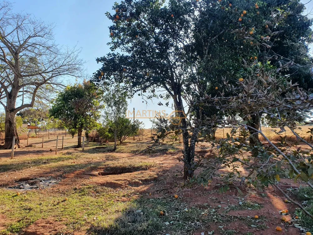 Fazenda, 1 hectares - Foto 2