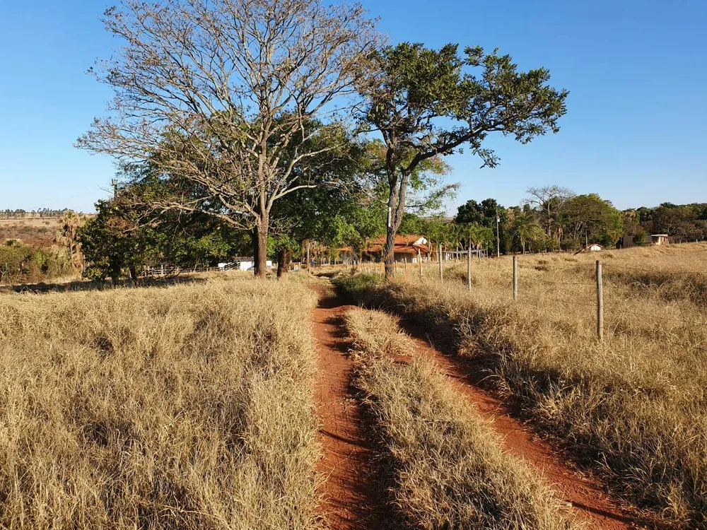 Fazenda, 1 hectares - Foto 4