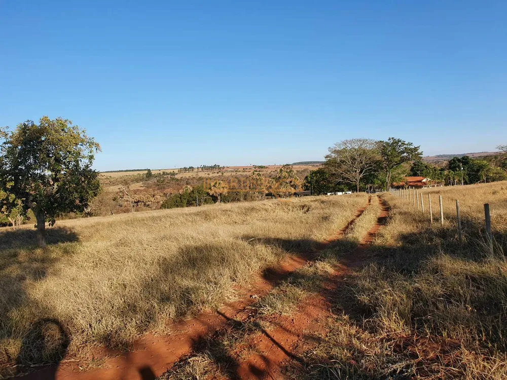 Fazenda, 1 hectares - Foto 3