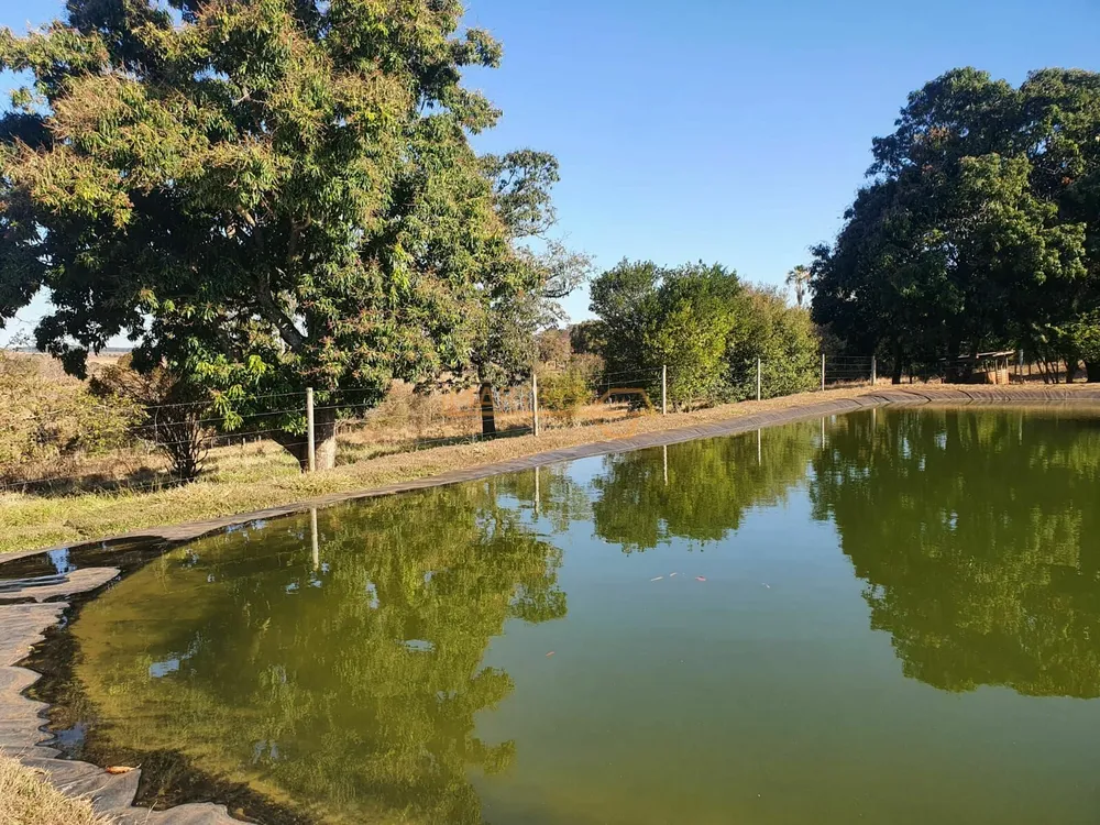 Fazenda, 1 hectares - Foto 1