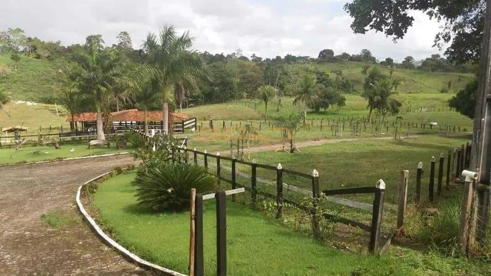 Fazenda, 5555 m² - Foto 1