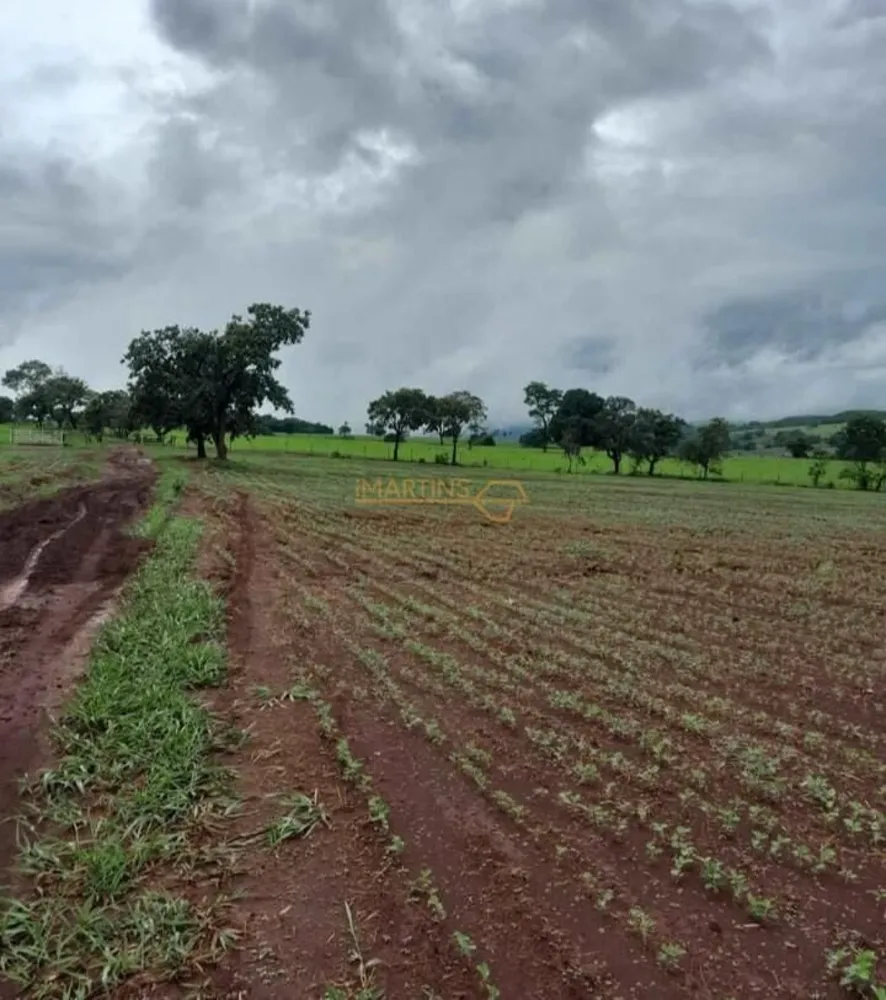 Fazenda, 33 hectares - Foto 1