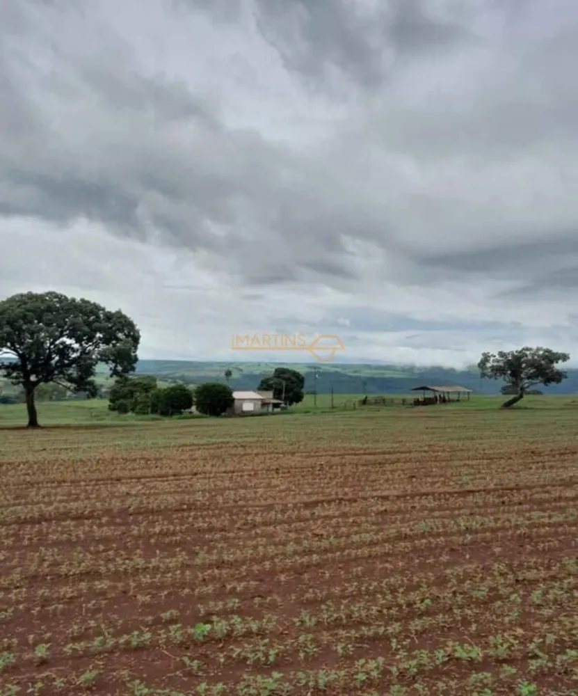 Fazenda, 33 hectares - Foto 2