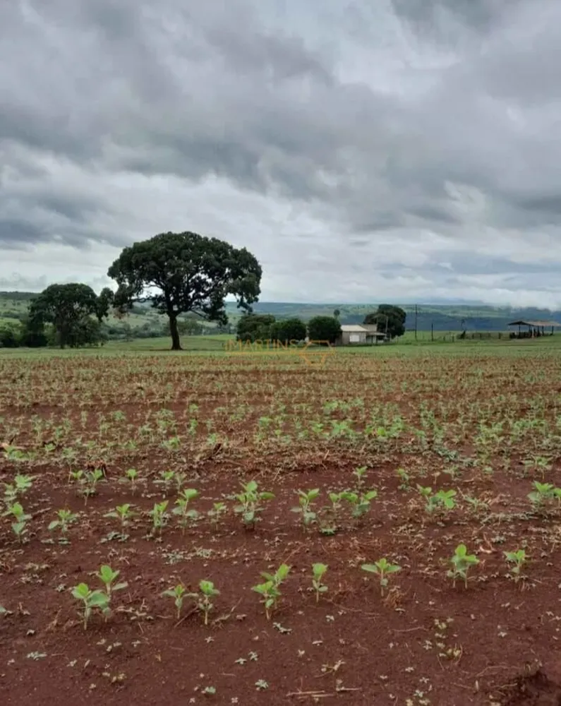 Fazenda, 33 hectares - Foto 3