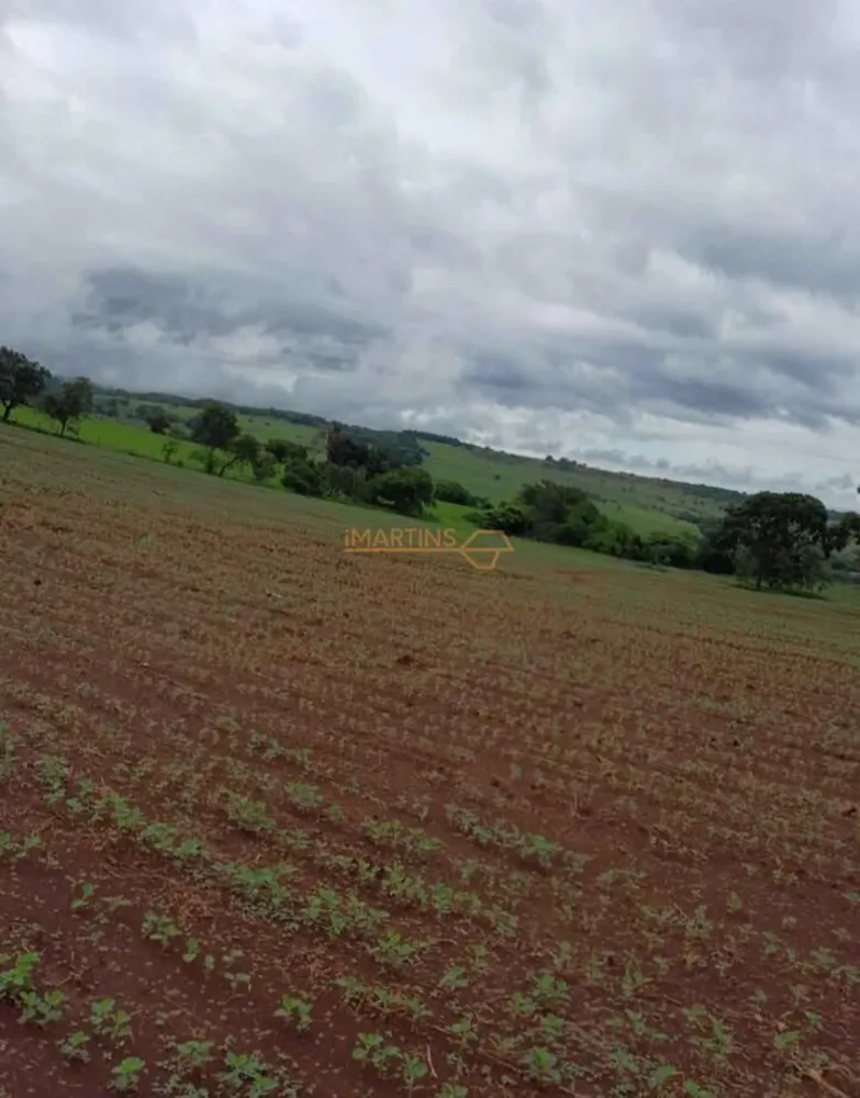 Fazenda, 33 hectares - Foto 4
