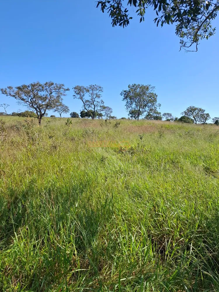 Fazenda, 555 m² - Foto 4