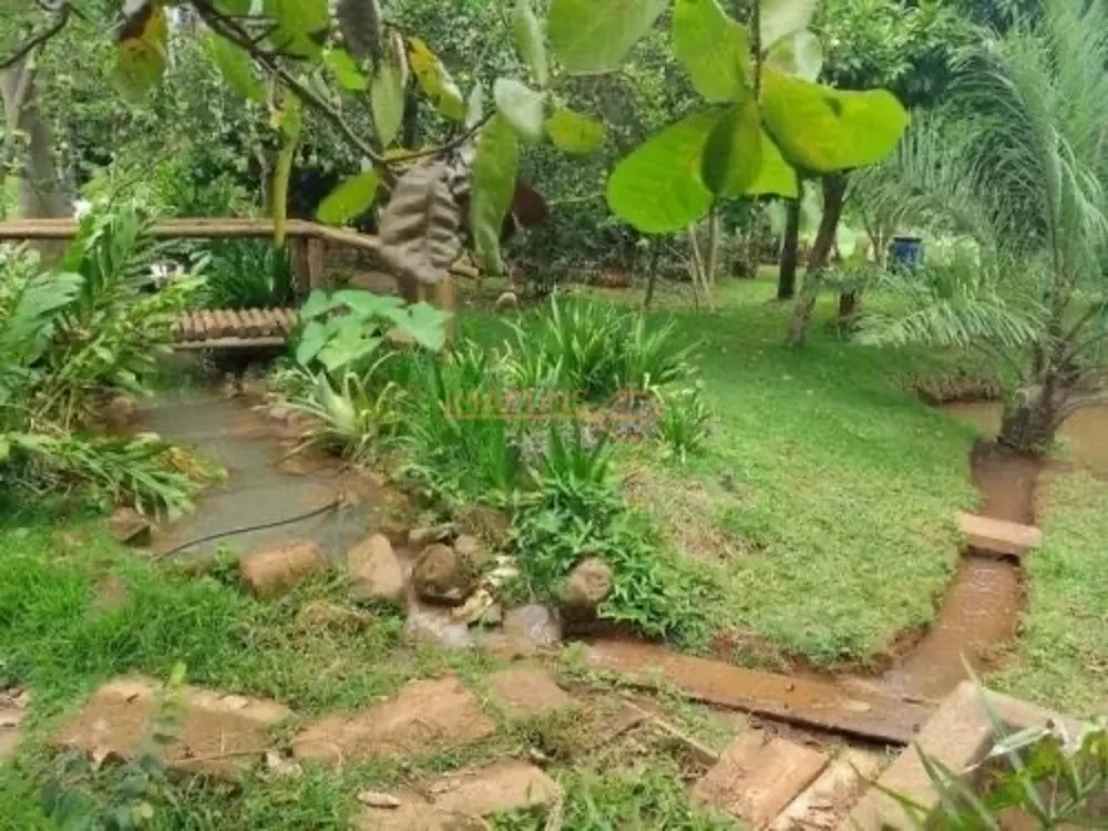 Fazenda, 5555 m² - Foto 1