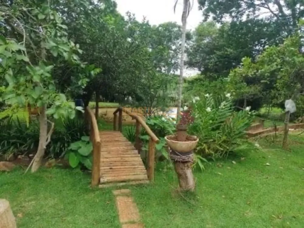 Fazenda, 5555 m² - Foto 3