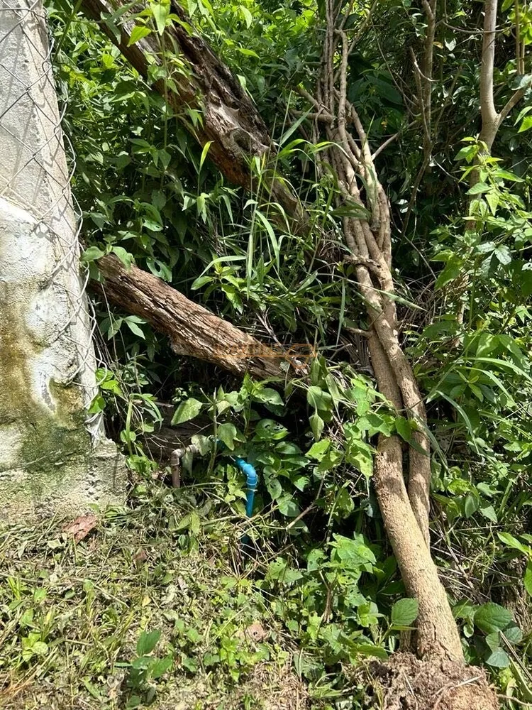 Fazenda, 5555 m² - Foto 1