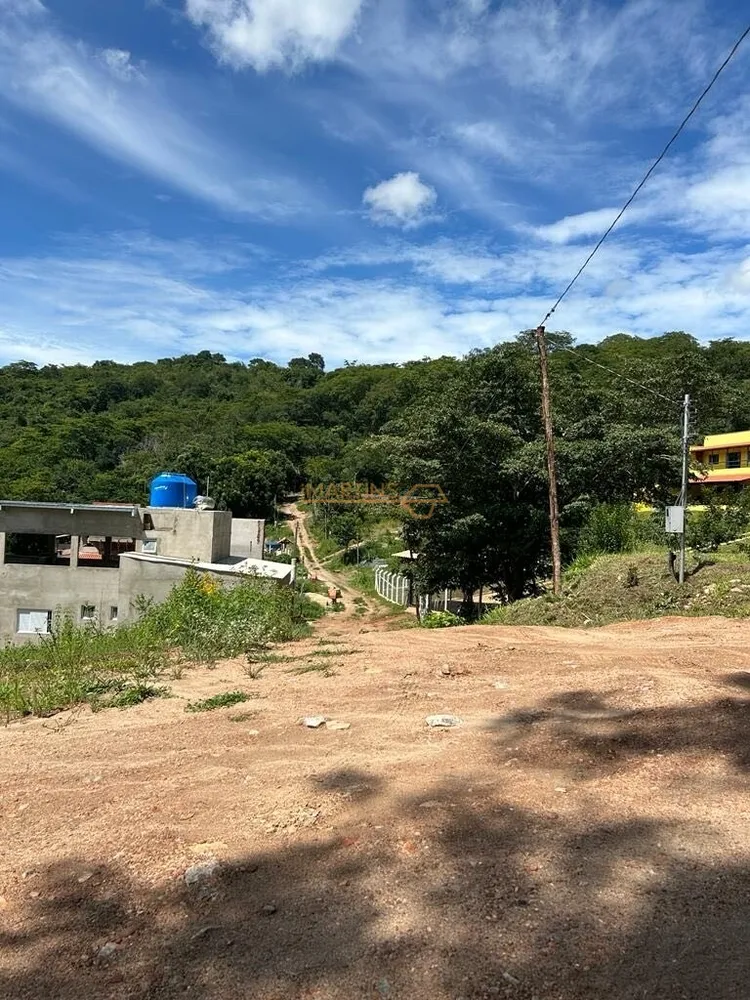 Fazenda, 5555 m² - Foto 3