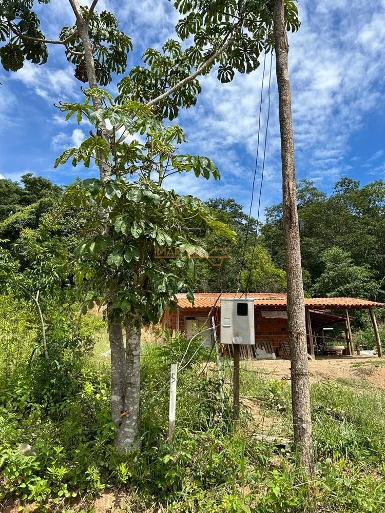 Fazenda, 5555 m² - Foto 2