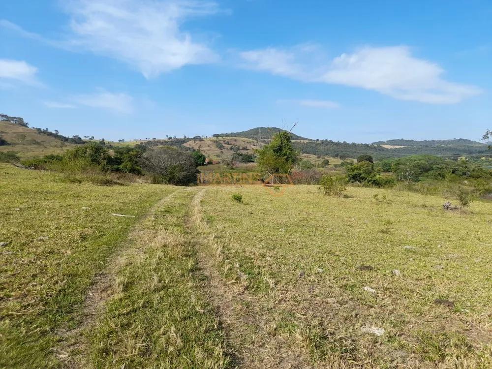 Fazenda, 5555 m² - Foto 4