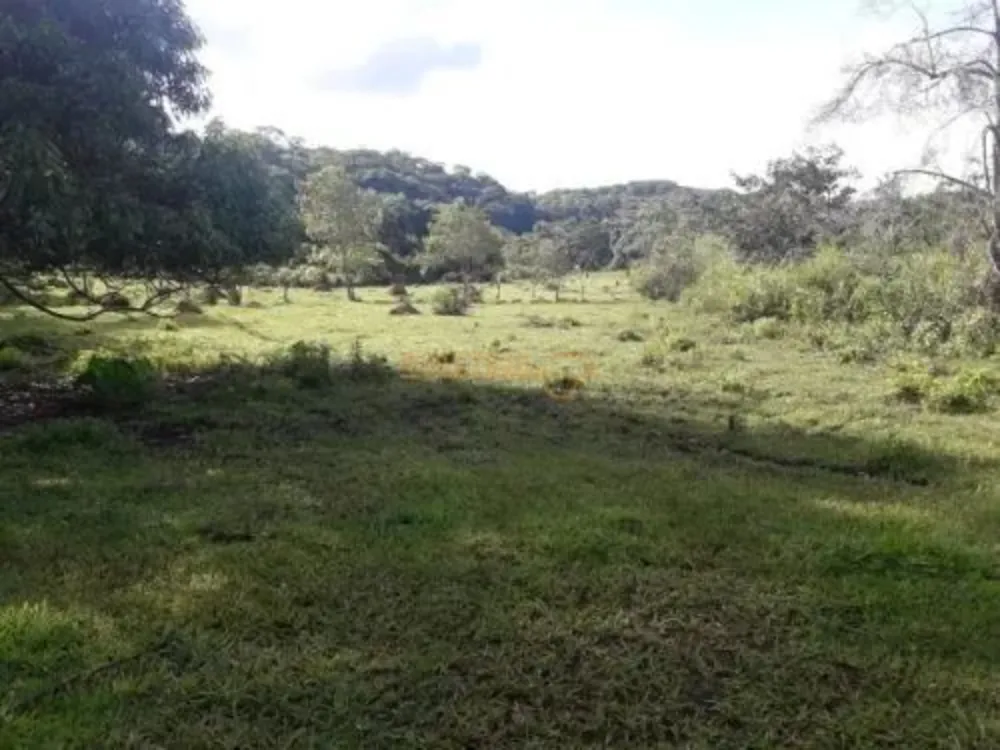 Chácara, 4 quartos, 17 hectares - Foto 2