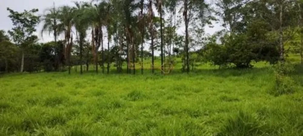 Chácara, 4 quartos, 17 hectares - Foto 4