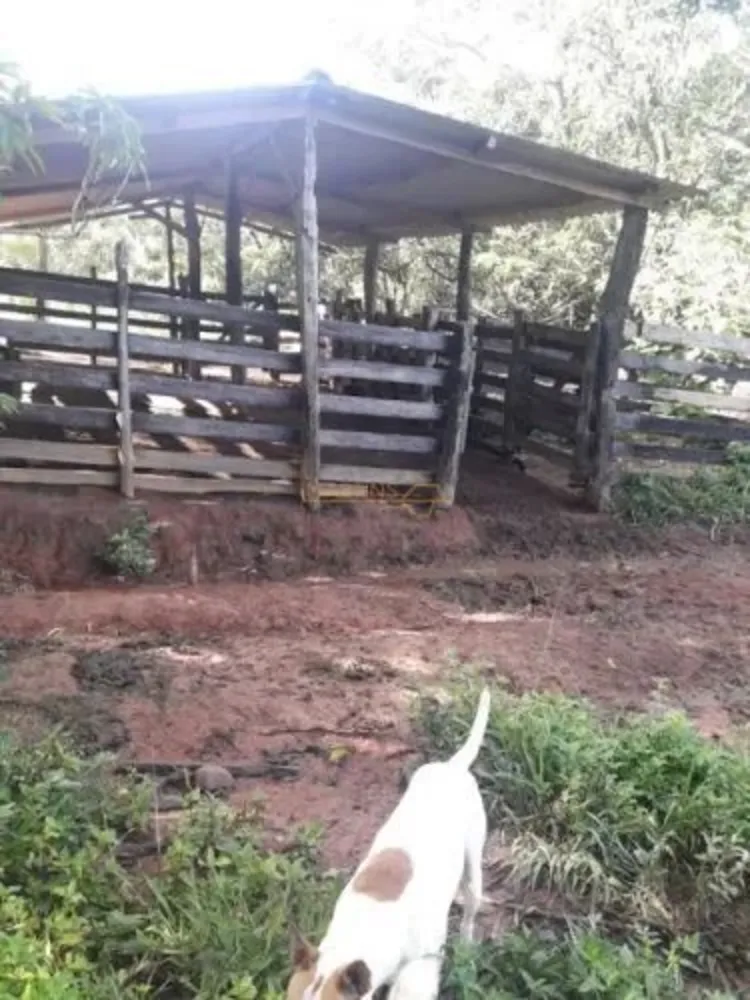 Chácara, 4 quartos, 17 hectares - Foto 3